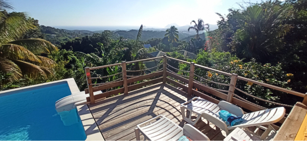 ACCUEIL 15 deck piscine