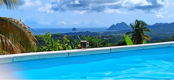 LA VILLA 5 dans la piscine
