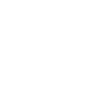 Aspirateur